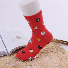 Load image into Gallery viewer, Jeseca 2019 Autumn Women Socks Cartoon Animal Cute Cat Sock for Girls Winter Thick Warm Cotton Sock for Ladies Christmas Gifts